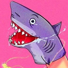 Shark Puppet profile photo